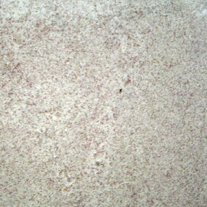 Granito Branco Itaunas